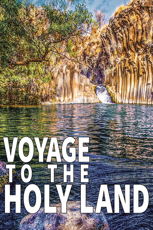 Movie poster for Voyage to the Holy Land (2018)
