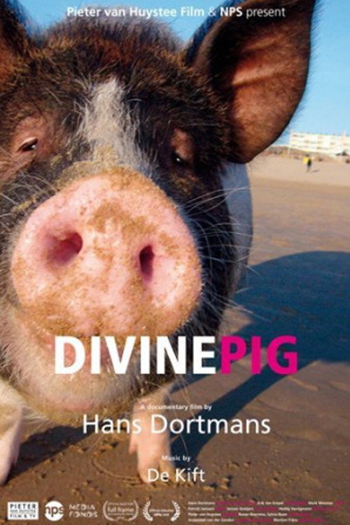 Movie poster for Divine Pig (2010)