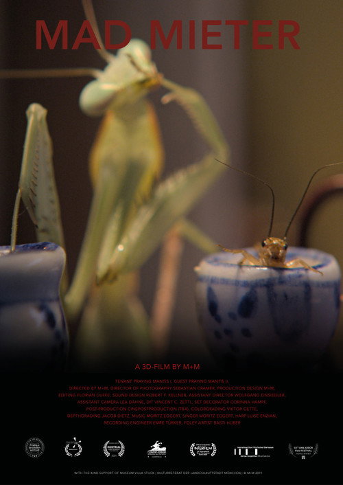Movie poster for Mad Mieter (2020)