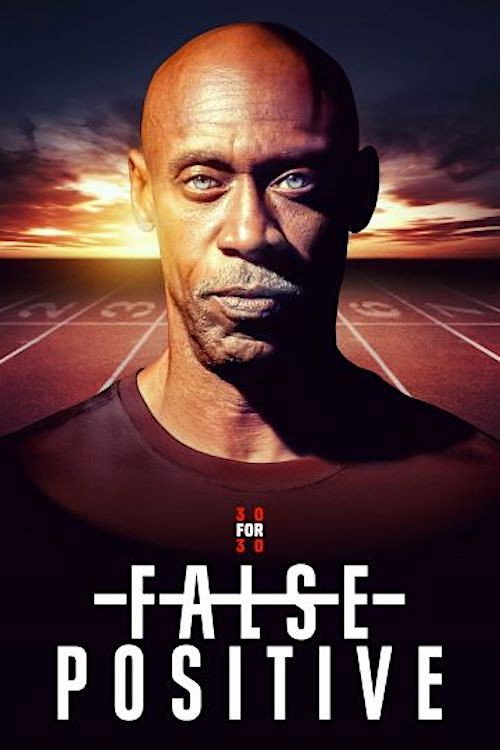 Movie poster for False Positive (2024)