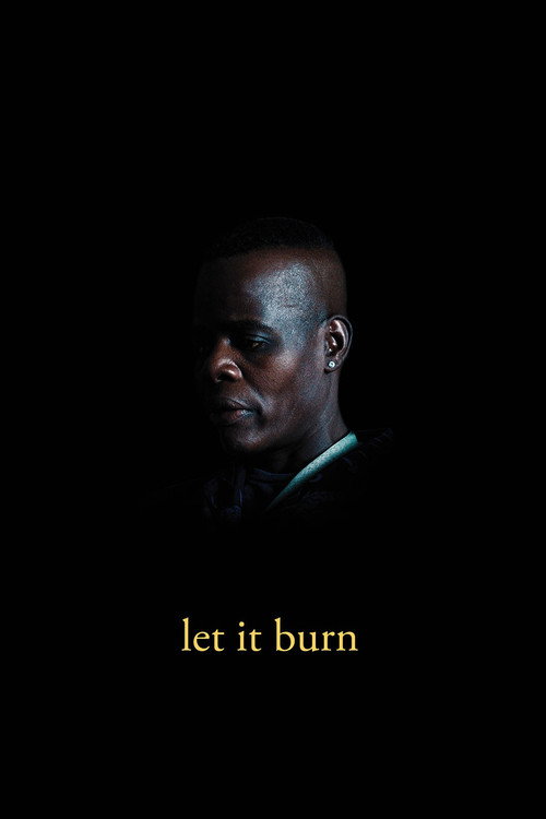 Movie poster for Let It Burn (2019)