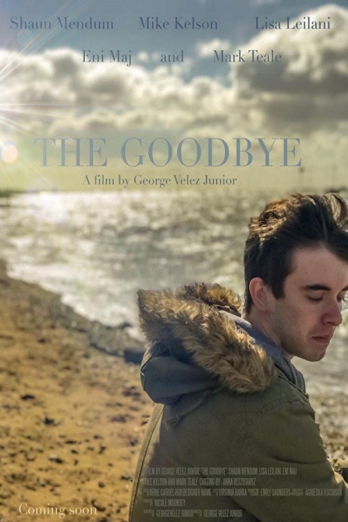 Movie poster for The Goodbye (2018)