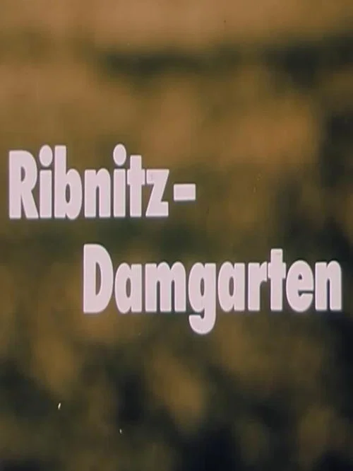 Movie poster for Ribnitz-Damgarten (1989)