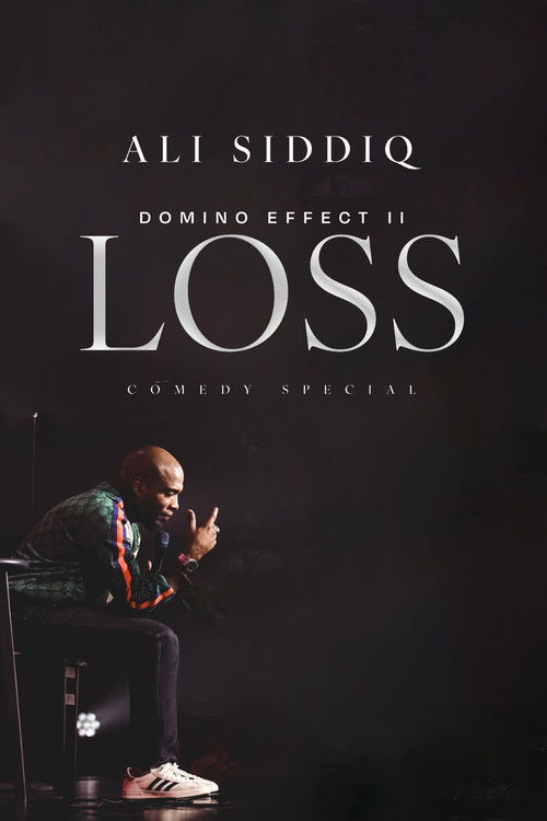 Movie poster for Ali Siddiq: The Domino Effect 2: Loss (2023)