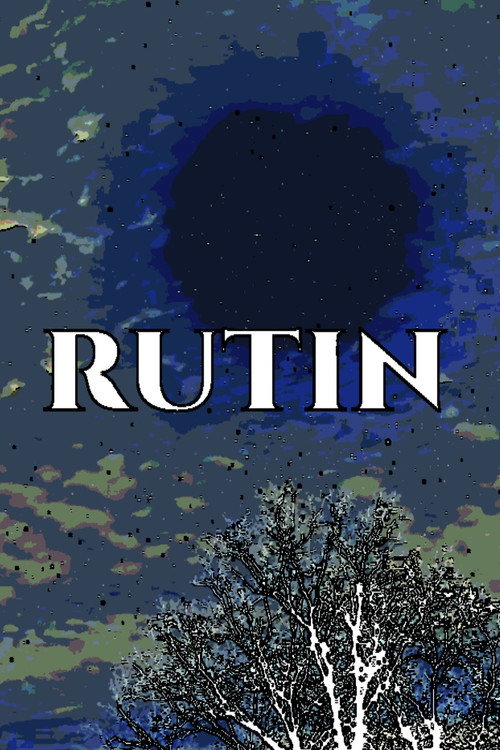 Movie poster for Routine (2025)