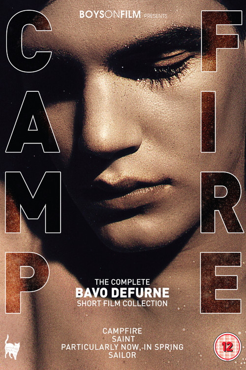 Movie poster for Boys On Film Presents: Campfire (2017)