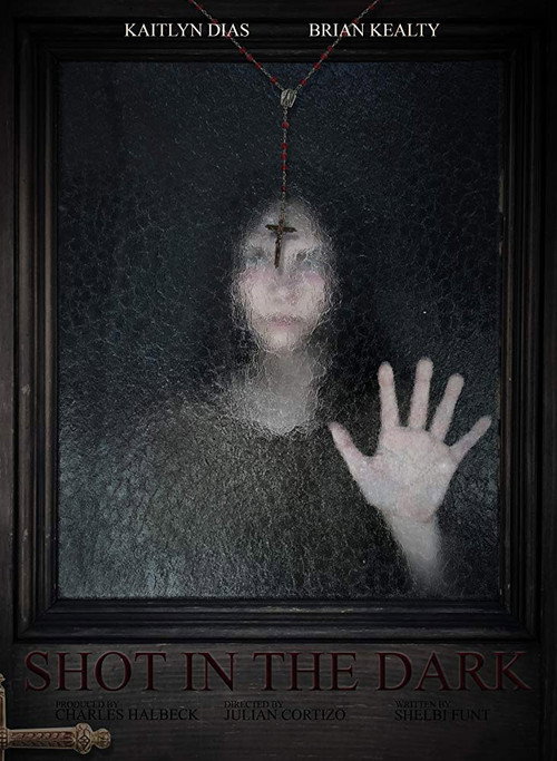 Movie poster for Shot in the Dark (2018)