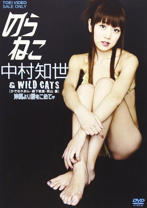 Movie poster for のらねこ 中村知世 & WILD CATS/かでなれおん・森下悠里・秋山優 沖縄より愛をこめて (2008)