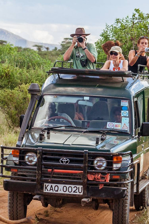 Killer Safari poster