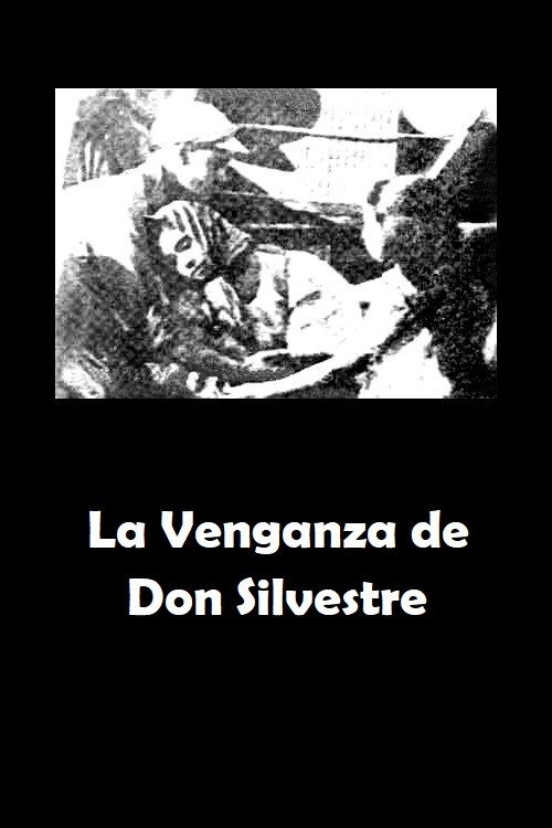 Movie poster for La Venganza de Don Silvestre (1919)