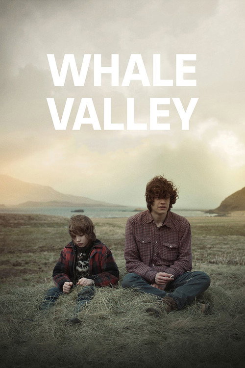 Movie poster for Whale Valley (2013)