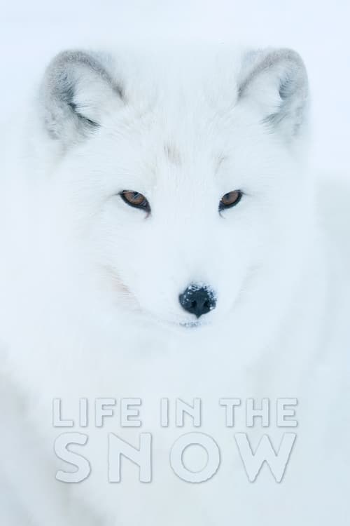 Movie poster for Life In The Snow (2016)