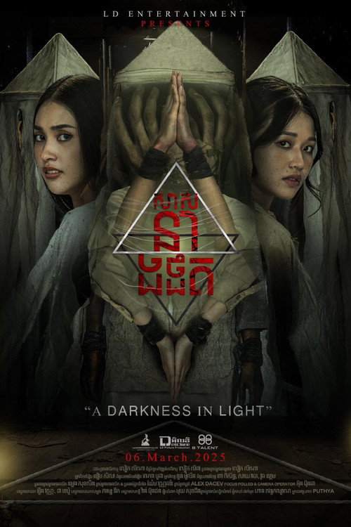 Movie poster for The Last Home (2025)