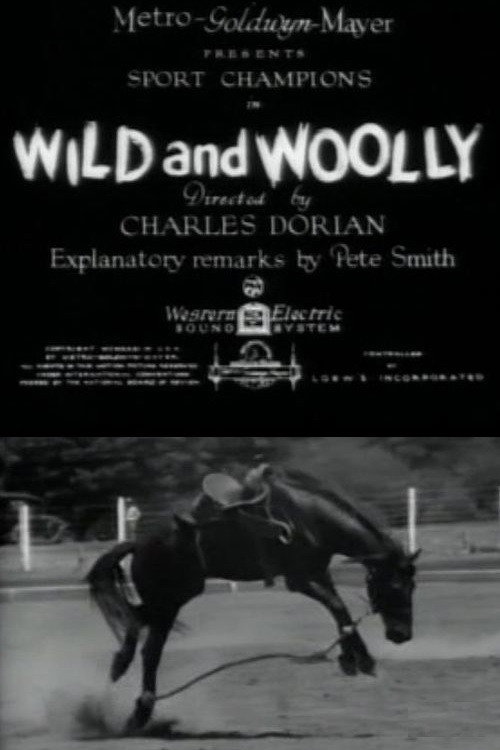 Movie poster for Wild and Woolly (1931)