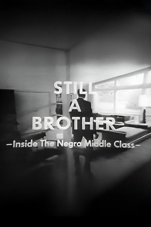 Movie poster for Still A Brother: Inside the Negro Middle Class (1968)