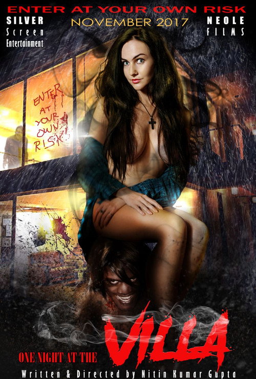 Movie poster for One Night at Villa (2019)