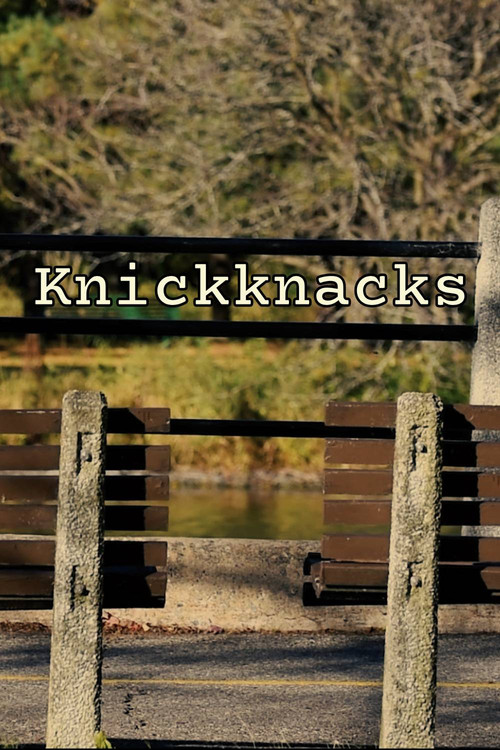 Movie poster for Knickknacks (2024)