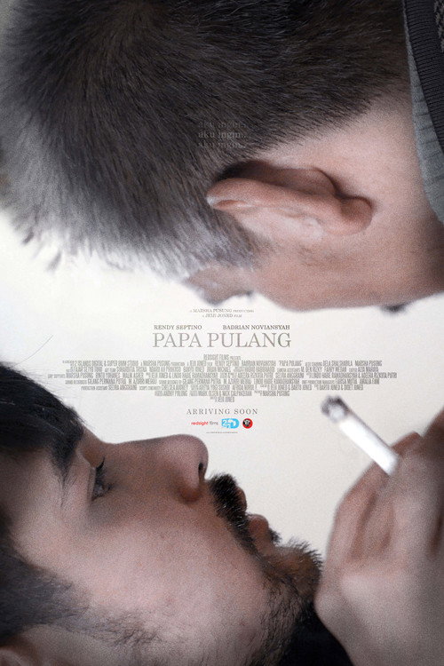 Movie poster for Dad's Home (2018)