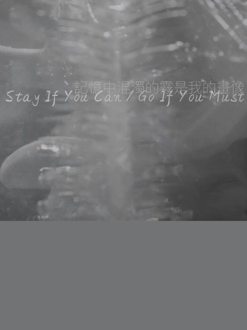 Movie poster for Stay If You Can / Go If You Must (2020)