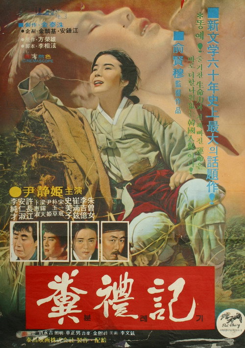 Movie poster for Bun-rye's Story (1971)