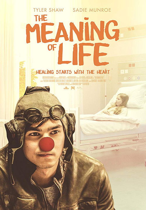 Movie poster for The Meaning Of Life (2019)