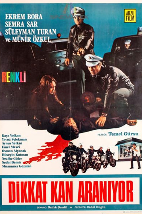 Movie poster for Dikkat Kan Aranıyor (1970)