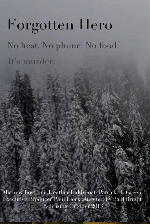 Movie poster for Forgotten Hero (2014)