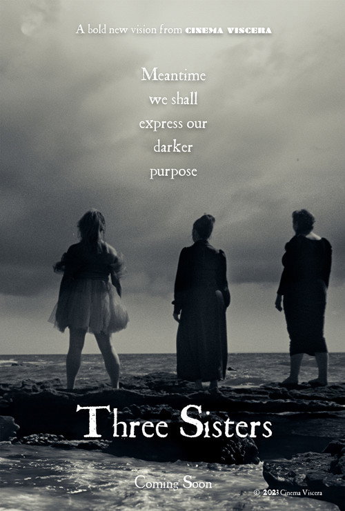Movie poster for Three Sisters (2024)