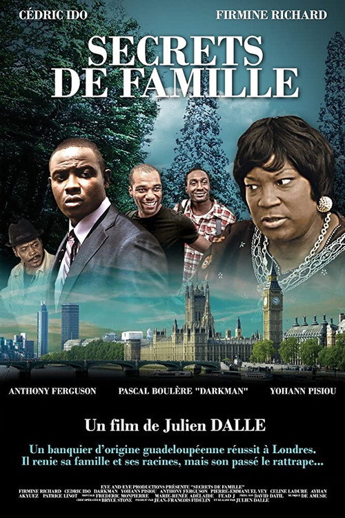 Movie poster for Secrets de famille (2019)