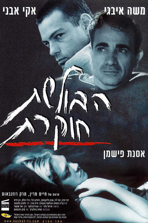 Movie poster for The Investigation Must Go On (2000)