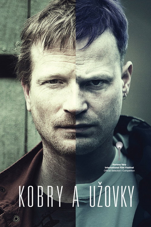 Movie poster for The Snake Brothers (2015)