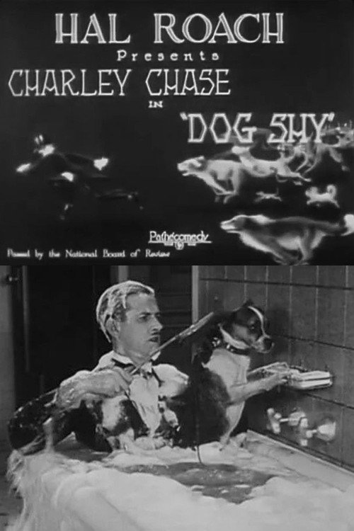 Movie poster for Dog Shy (1926)