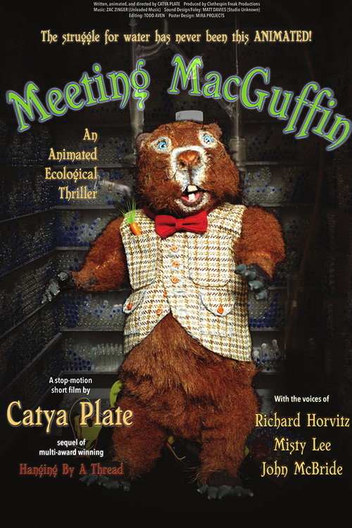 Movie poster for Meeting MacGuffin (2017)
