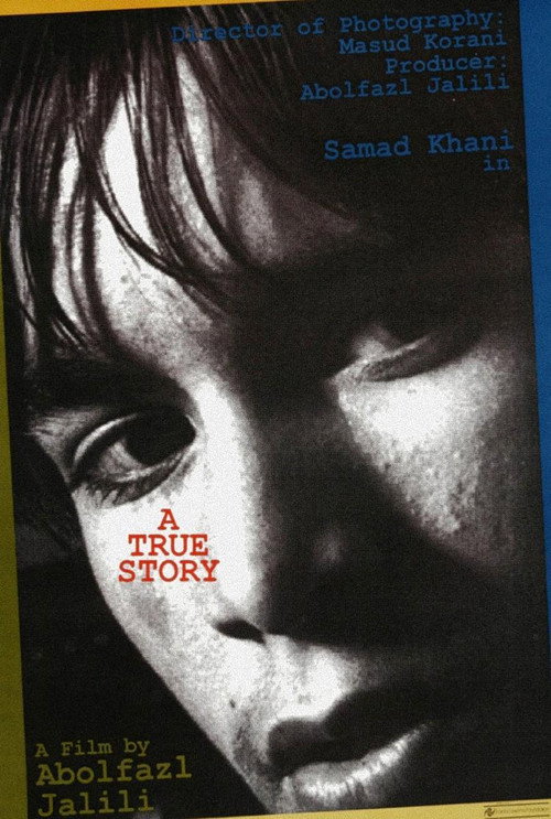 Movie poster for A True Story (1991)