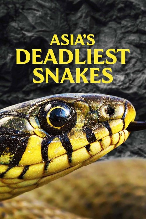 Movie poster for Asia's Deadliest Snakes (2010)