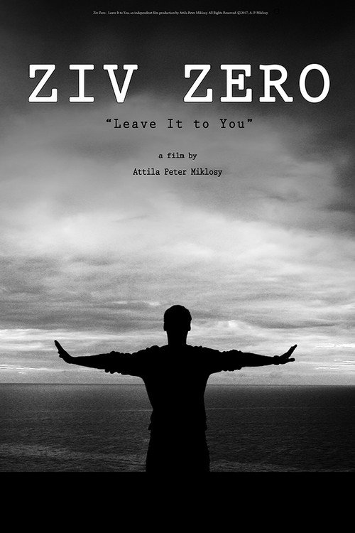 Movie poster for Ziv Zero (2017)