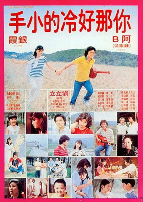 Movie poster for Don't Forget the Promise (1980)