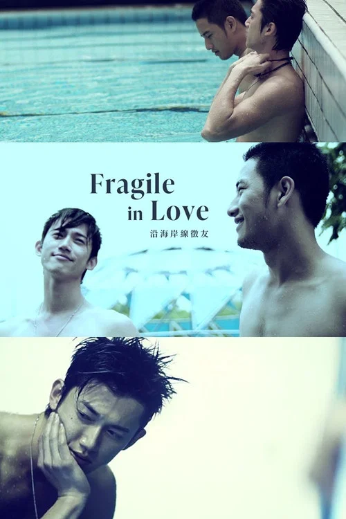 Movie poster for Fragile in Love (2007)