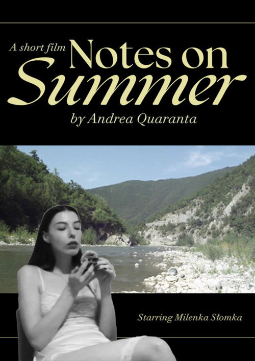 Movie poster for Notes on Summer (2023)