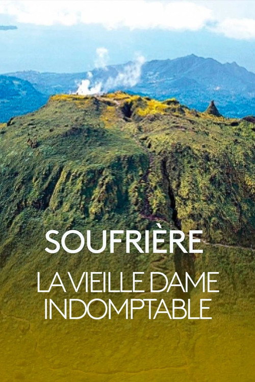 Movie poster for Soufrière, la vieille dame indomptable (2019)