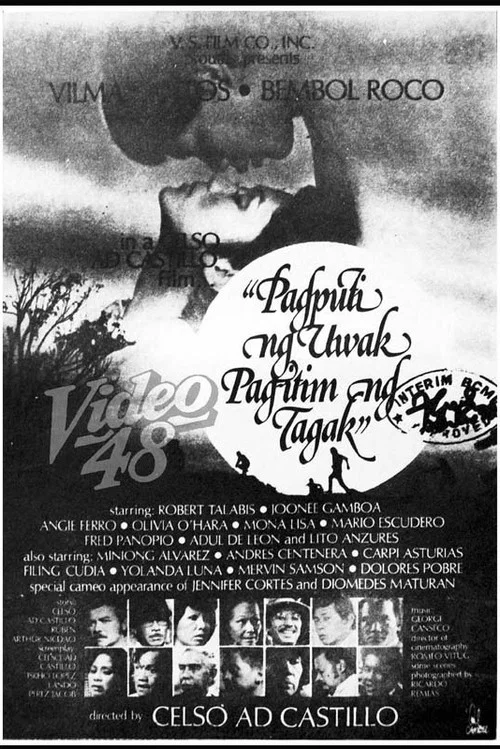 Movie poster for When the Crow Turns White, When the Heron Turns Black (1978)