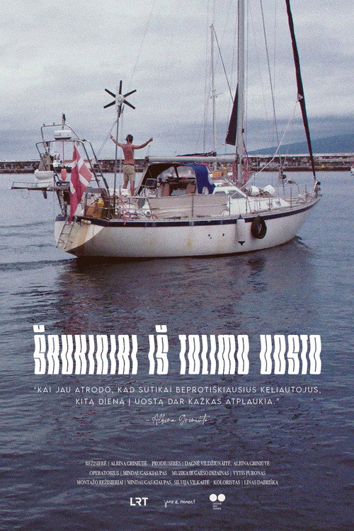 Movie poster for Call Signs from a Distant Harbour (2021)