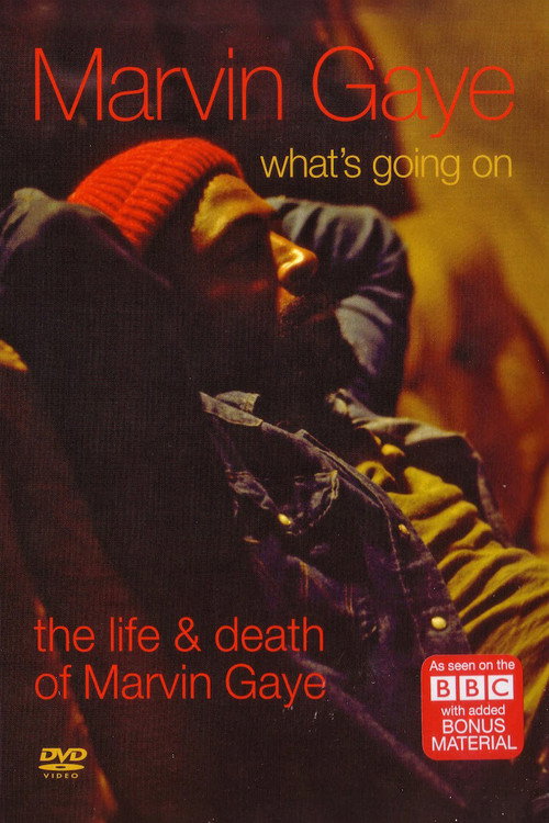 Movie poster for What's Going On: The Life and Death of Marvin Gaye (2008)