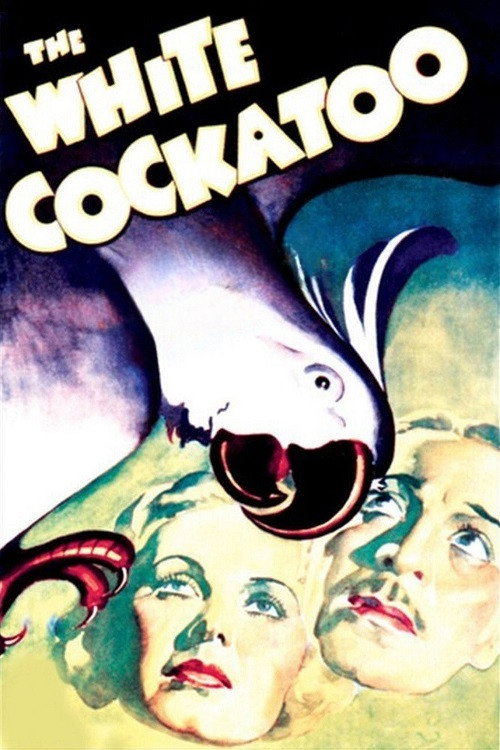 Movie poster for The White Cockatoo (1935)