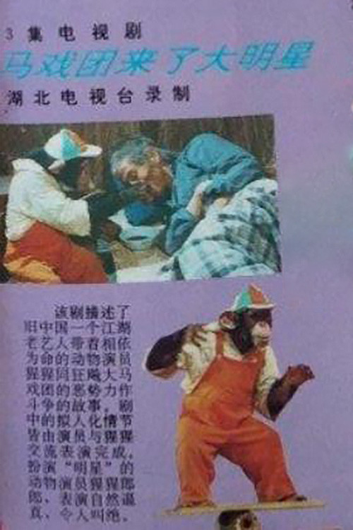 Series poster for 马戏团来了大明星 (1992)