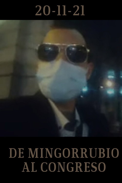 Movie poster for De Mingorrubio al Congreso (2021)