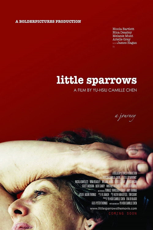 Movie poster for Little Sparrows (2010)