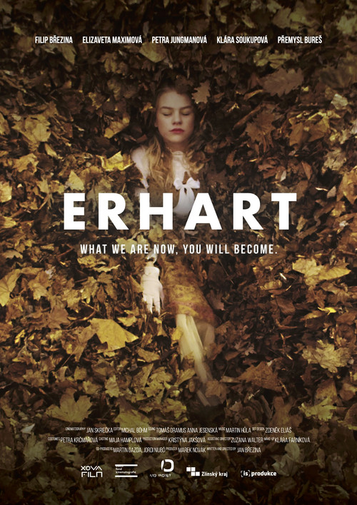 Movie poster for Erhart (2023)
