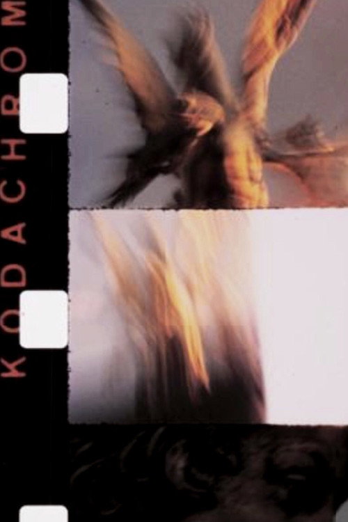 Movie poster for Novembre (1989)