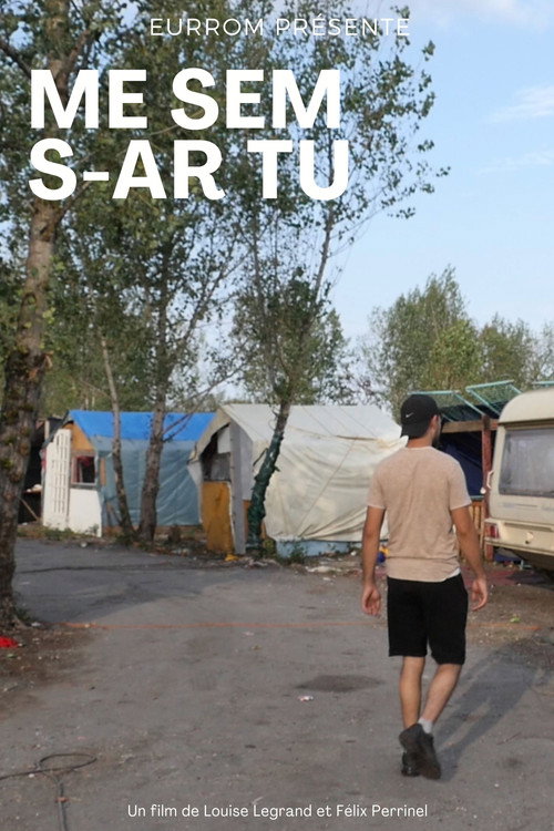 Movie poster for Me sem s-ar tu
